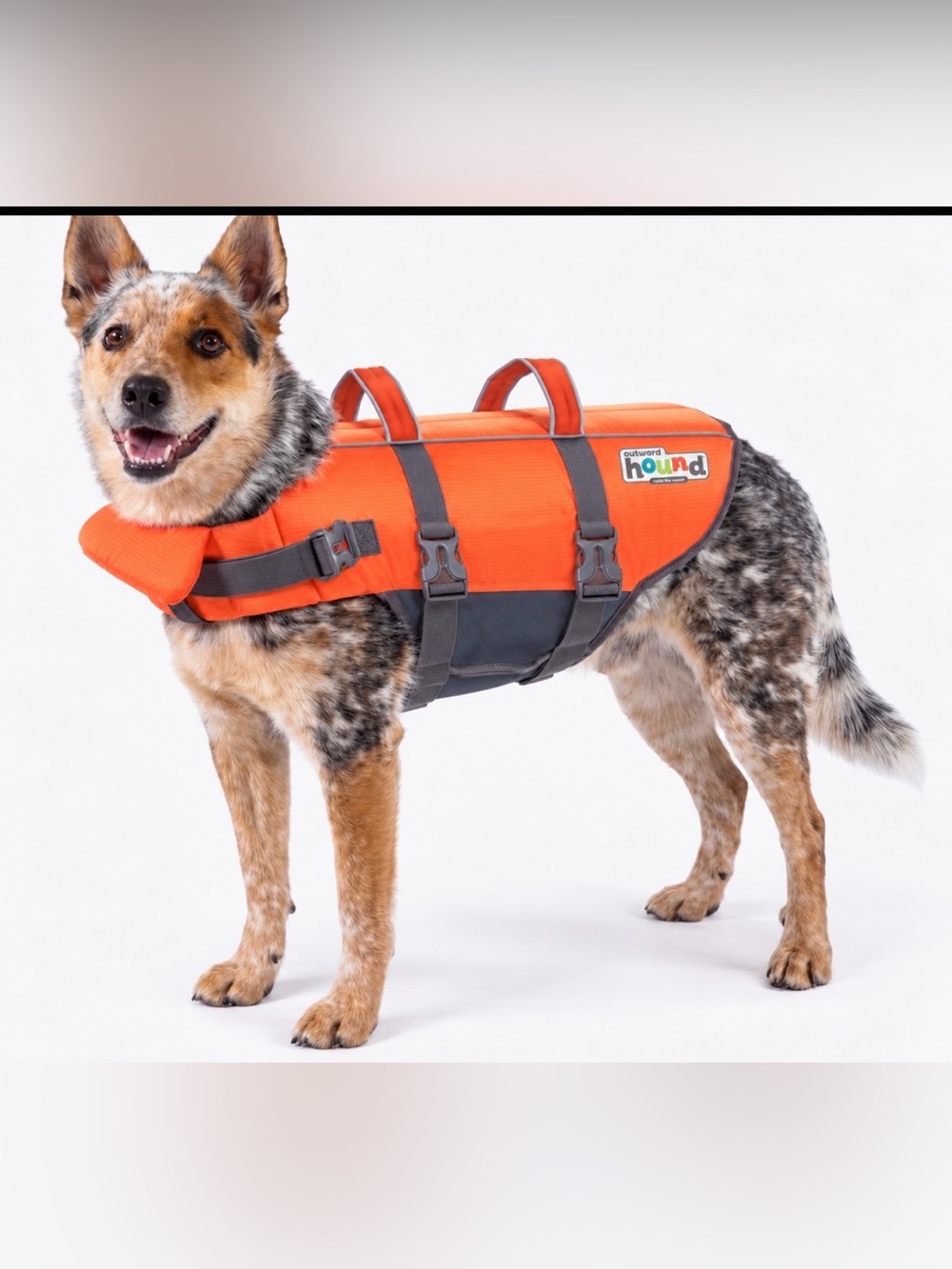 Outward Hound Granby Splash Dog Life Jacket